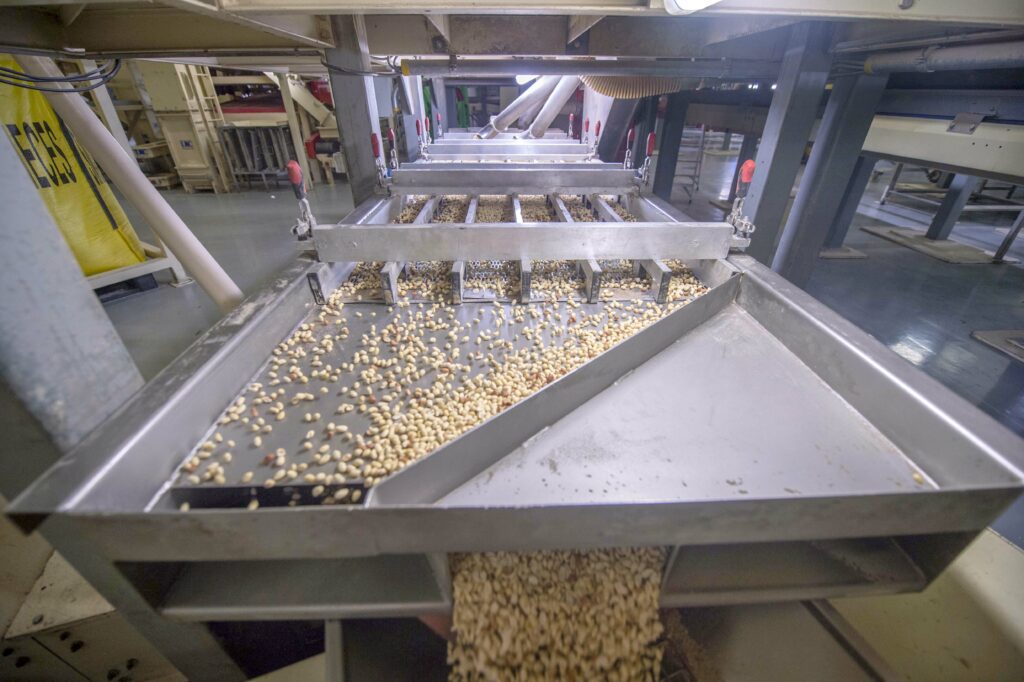 The increasing importance of food safety: part of peanut production at location Beneluxhaven, Netherlands